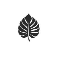 Flat Monstera Leaf logogo Design Element in HD Quality vector
