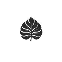 Minimalist Monstera Leaf logogo Design Element with Clean Style vector