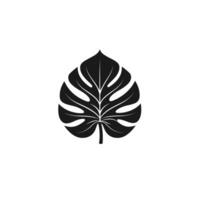 Minimalist Monstera Leaf logogo Icon Set on White Background vector
