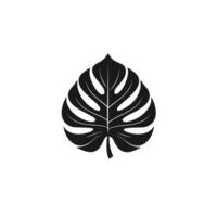 Elegant Monstera Leaf logogo Icon Set for Branding vector