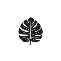 Flat Monstera Leaf logogo Graphic Template in HD Quality vector
