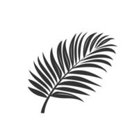 Soft Palm Leaf logogo Isolated Clipart with Subtle Texture vector
