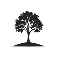 Abstract Of Beech Isolated Clipart in HD Quality vector