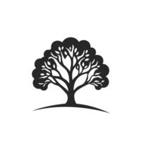 Abstract Of Beech Design Element with Clean Style vector