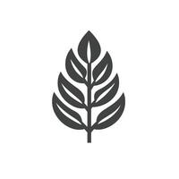Soft Of Beech Icon Set in HD Quality vector