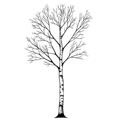 Elegant Of Birch Icon Set with Clean Style