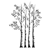 Flat Of Birch Isolated Clipart on White Background vector