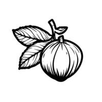 Creative Of Chestnut Design Element in HD Quality vector