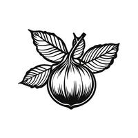 Elegant Of Chestnut Illustration for Branding vector