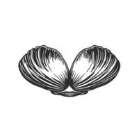 Soft Of Clam Isolated Clipart for Branding vector