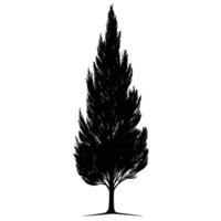 Flat Of Cypress Graphic Template for Branding vector