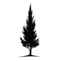 Realistic Of Cypress Design Element with Subtle Texture vector