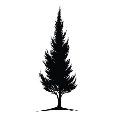 Realistic Of Cypress Design Element with Subtle Texture
