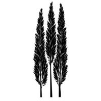 Abstract Of Cypress Graphic Template with Subtle Texture vector
