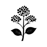 Abstract Of Elderberry Icon Set with Subtle Texture vector