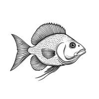 Hand-Drawn Of Flogounder Design Element for Branding vector