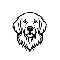 Minimalist Of Golden Graphic Template on White Background vector