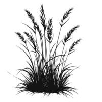 Realistic Of Grass Graphic Template on White Background vector