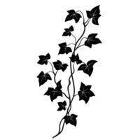 Hand-Drawn Of Ivy Icon Set with Subtle Texture vector