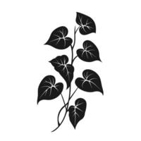 Minimalist Of Ivy Icon Set with Clean Style vector