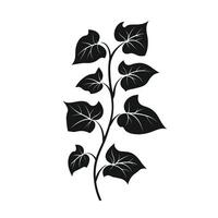 Hand-Drawn Of Ivy Graphic Template with Clean Style vector