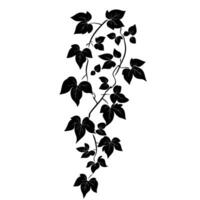 Hand-Drawn Of Ivy Design Element with Subtle Texture vector