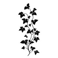 Flat Of Ivy Isolated Clipart with Clean Style vector