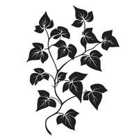 Elegant Of Ivy Graphic Template with Subtle Texture vector