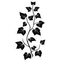 Elegant Of Ivy Isolated Clipart for Branding vector