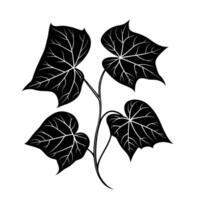 Minimalist Of Ivy Isolated Clipart with Clean Style vector