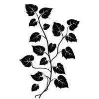 Elegant Of Ivy Icon Set with Clean Style vector
