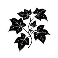 Flat Of Ivy Graphic Template with Subtle Texture vector