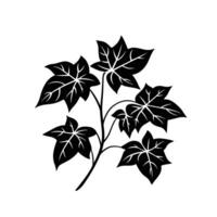 Soft Of Ivy Isolated Clipart with Subtle Texture vector