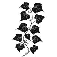 Minimalist Of Ivy Icon Set in HD Quality vector
