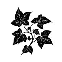 Modern Of Ivy Graphic Template on White Background vector