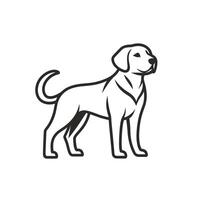 Soft Of Labrador Illustration on White Background vector