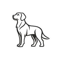 Realistic Of Labrador Illustration on White Background vector