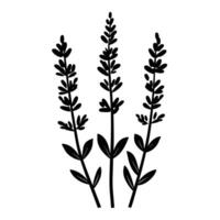 Abstract Of Lavender Design Element on White Background vector