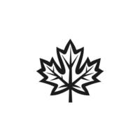 Soft Of Maple Illustration on White Background vector