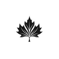 Realistic Of Maple Illustration with Subtle Texture vector