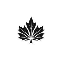 Modern Of Maple Graphic Template on White Background vector
