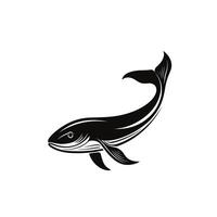 Realistic Of Moray Graphic Template in HD Quality vector