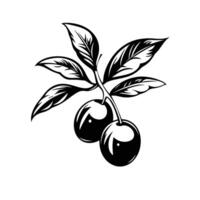 Abstract Of Olive Graphic Template in HD Quality vector