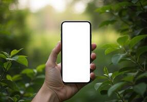 Hand holding a blank white smartphone with green leaves background photo