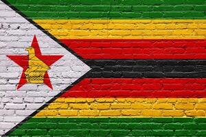 Grunge and weathered flags of zimbabwe and South Africa on a textured brick wall photo