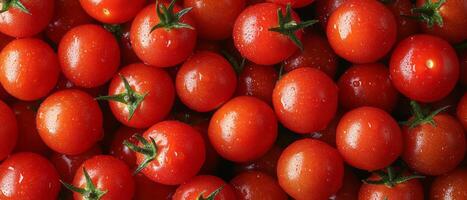 Fresh Cherry Tomatoes Gathered After Rainfall in a Vibrant Garden During Late Summer Harvest photo