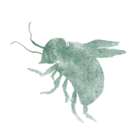 A watercolor bee in a green paint gradient. Abstract silhouette of a bee with wings for making postcards, prints. Watercolor paint spots. png