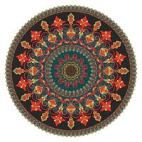 Carpet with circle pattern Carpet with circle line design vector