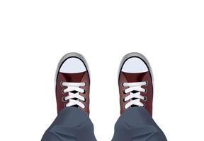 A pair of shoes with white laces on a white background vector