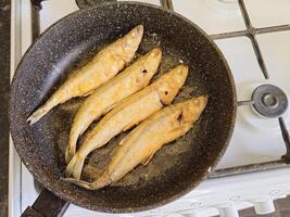Smelt is fried in a frying pan. photo